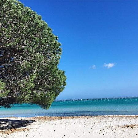 Appartement Proche Des Plus Belles Plages ปอร์โต-เวคคีโอ ภายนอก รูปภาพ